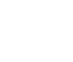 S4_icon